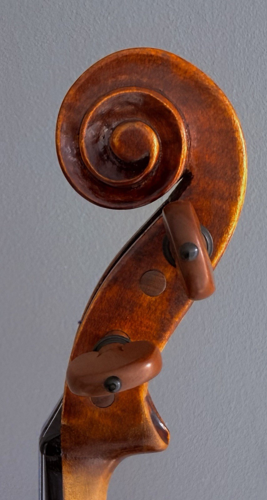 $_32.JPG?set_id=8800005007