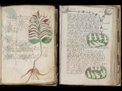 解読不能の奇書「ヴォイニッチ手稿」が電子書籍化され誰でも