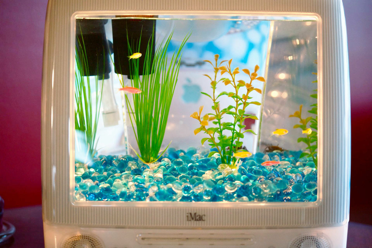 カラフルなiMacをそのまま水槽にした「Macquarium」 - GIGAZINE