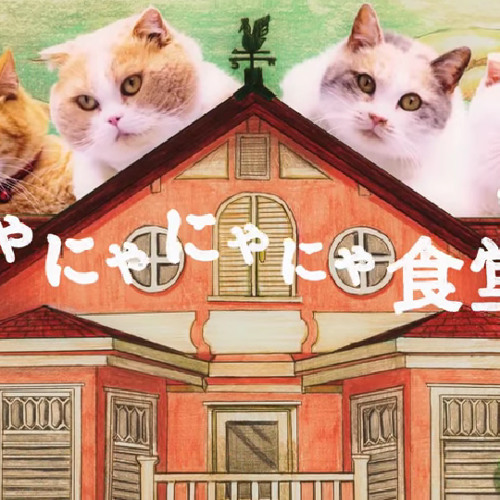 Stream 「にゃにゃにゃにゃにゃにゃにゃー」にゃんにゃんにゃ『にゃ