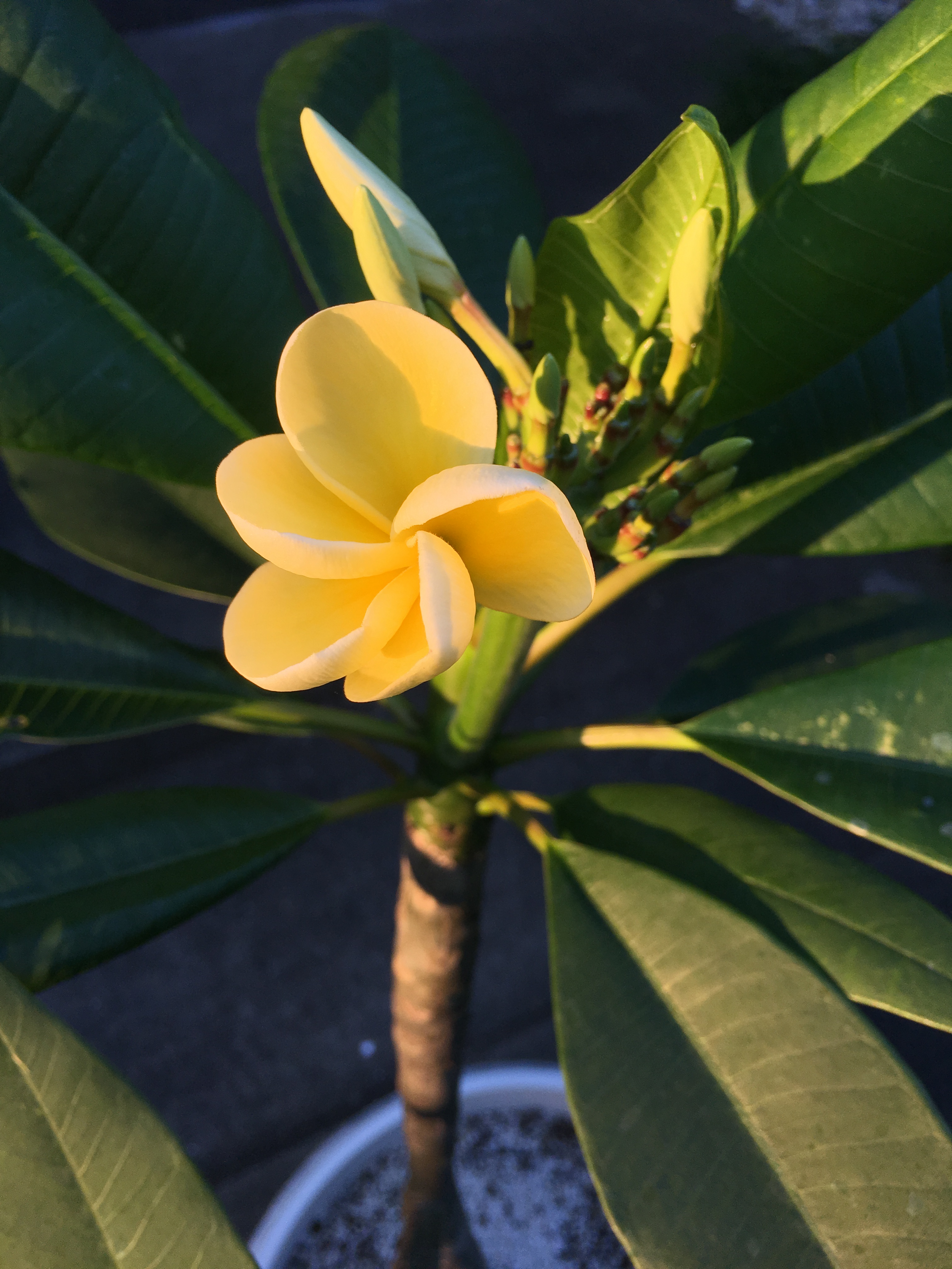 IMG_7936.jpg?fit=3024,4032&ssl=1