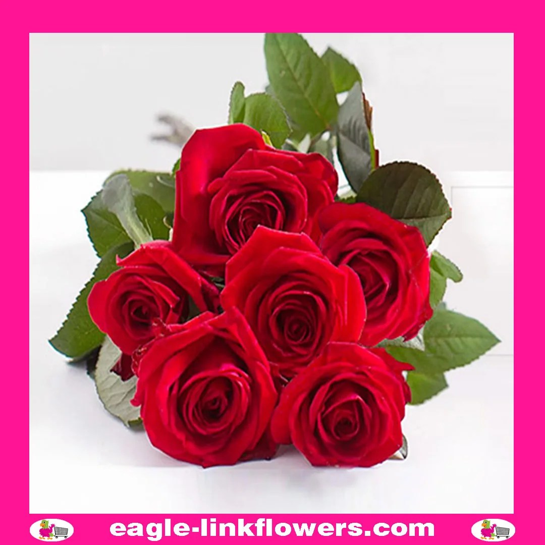 Wholesale flowers to Azerbaijan - Eagle-Link Flowers