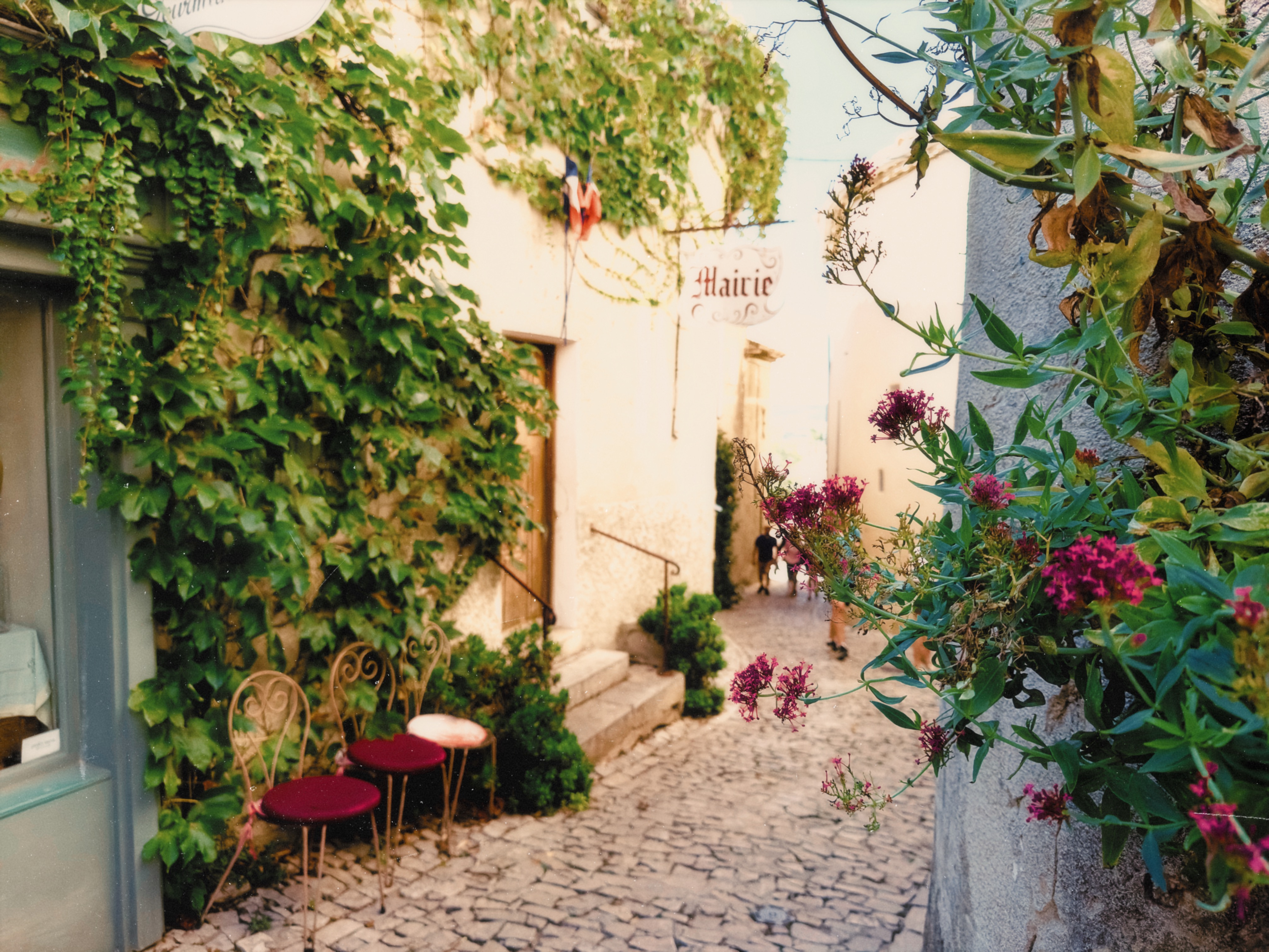 IMG_4716-1.jpg?resize=1024,768