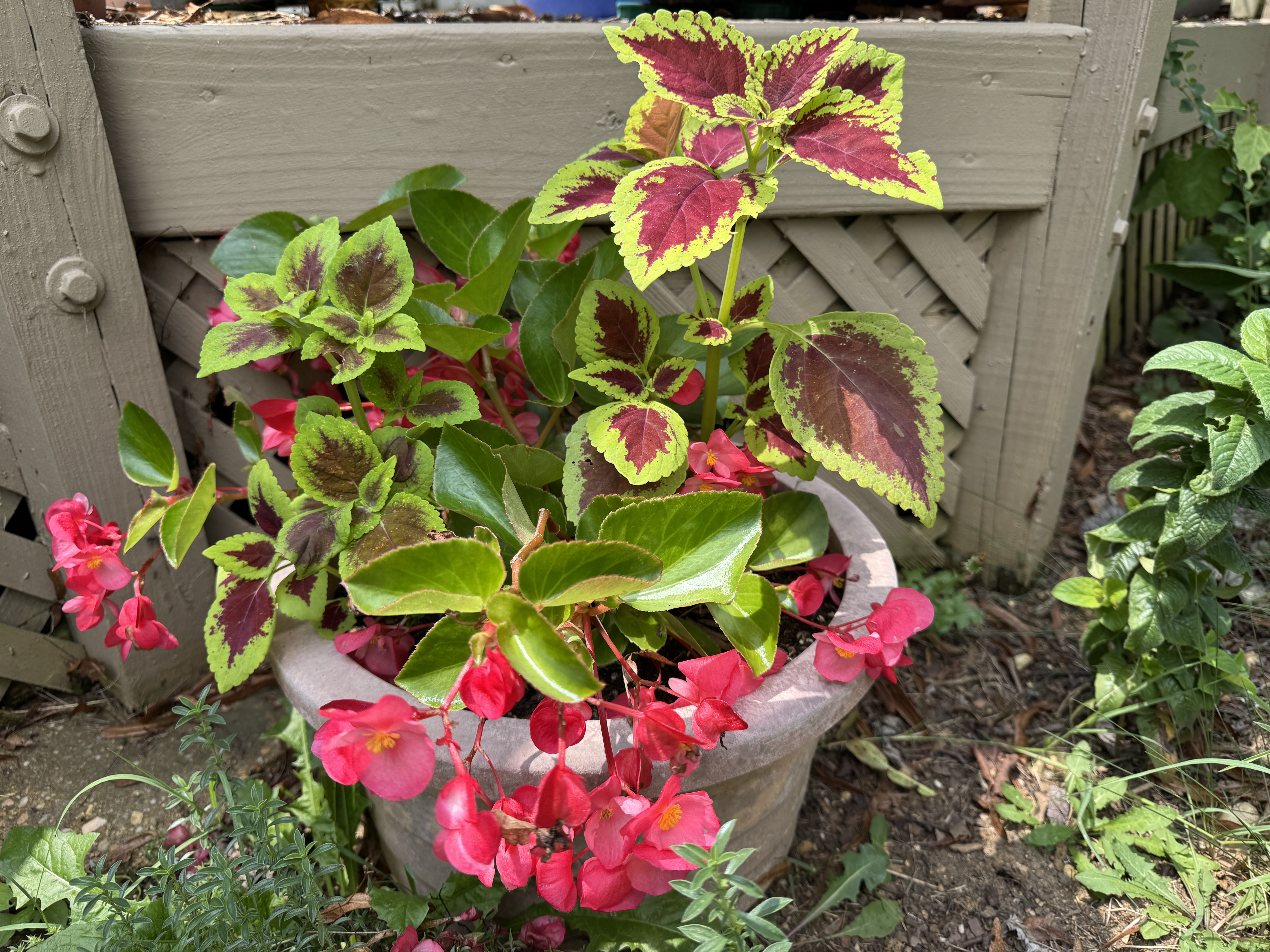 Time to Save What You Can from the Garden -