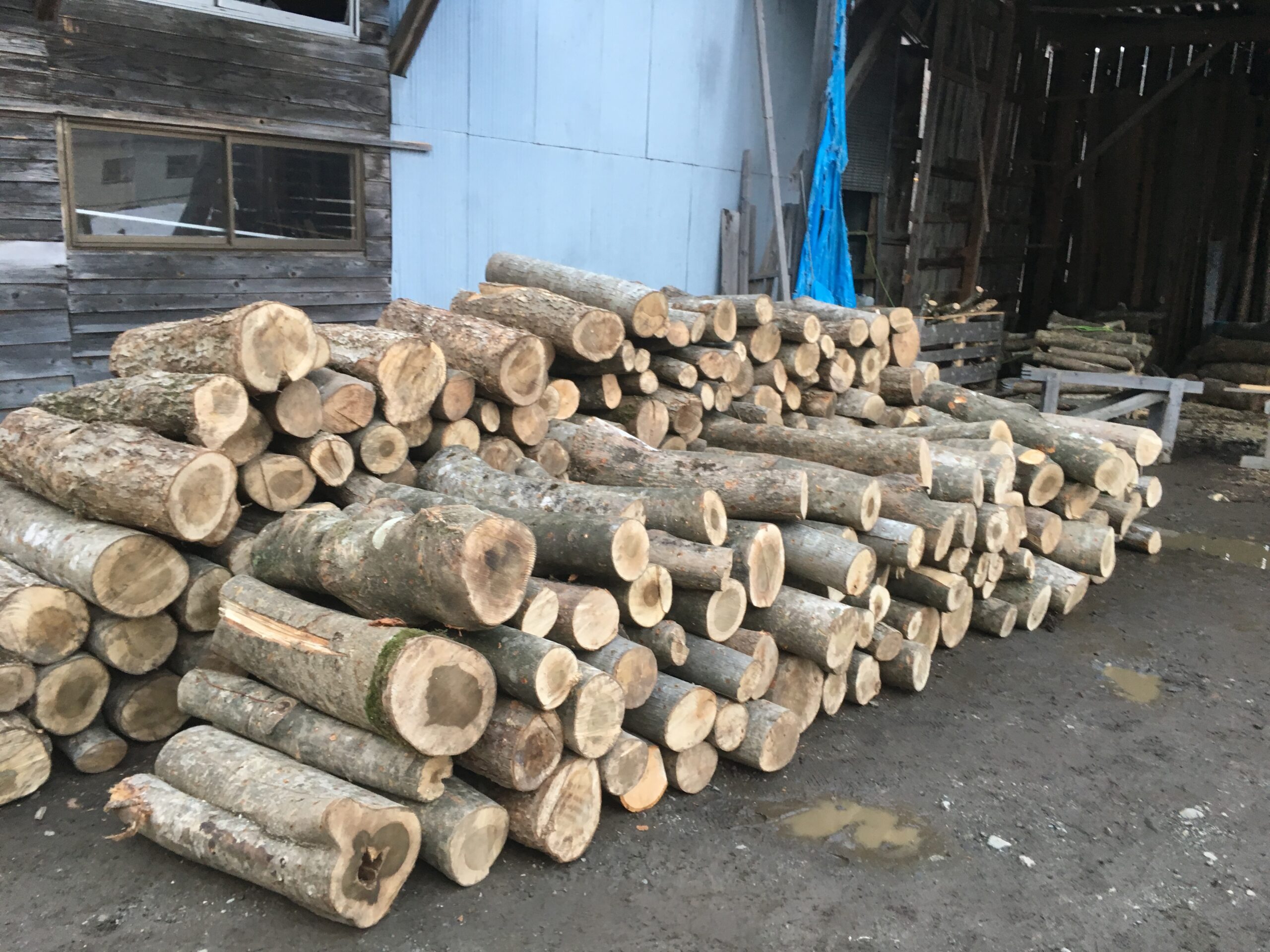 薪・広葉樹ミックス - マキ倶楽部