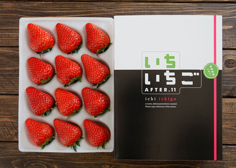 いちご摘み2026のお知らせ | いちいちご 株式会社一苺一笑