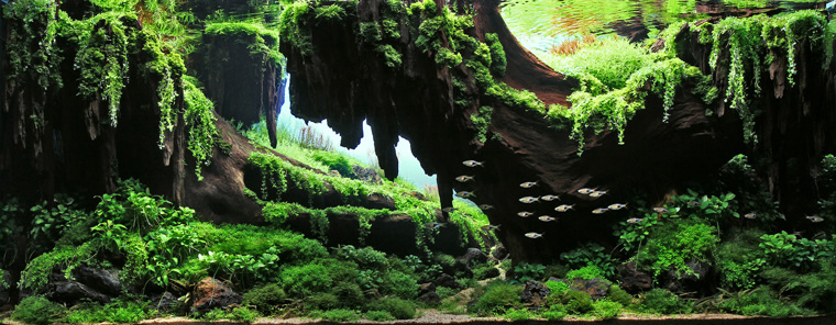 歴代受賞作品 | IAPLC