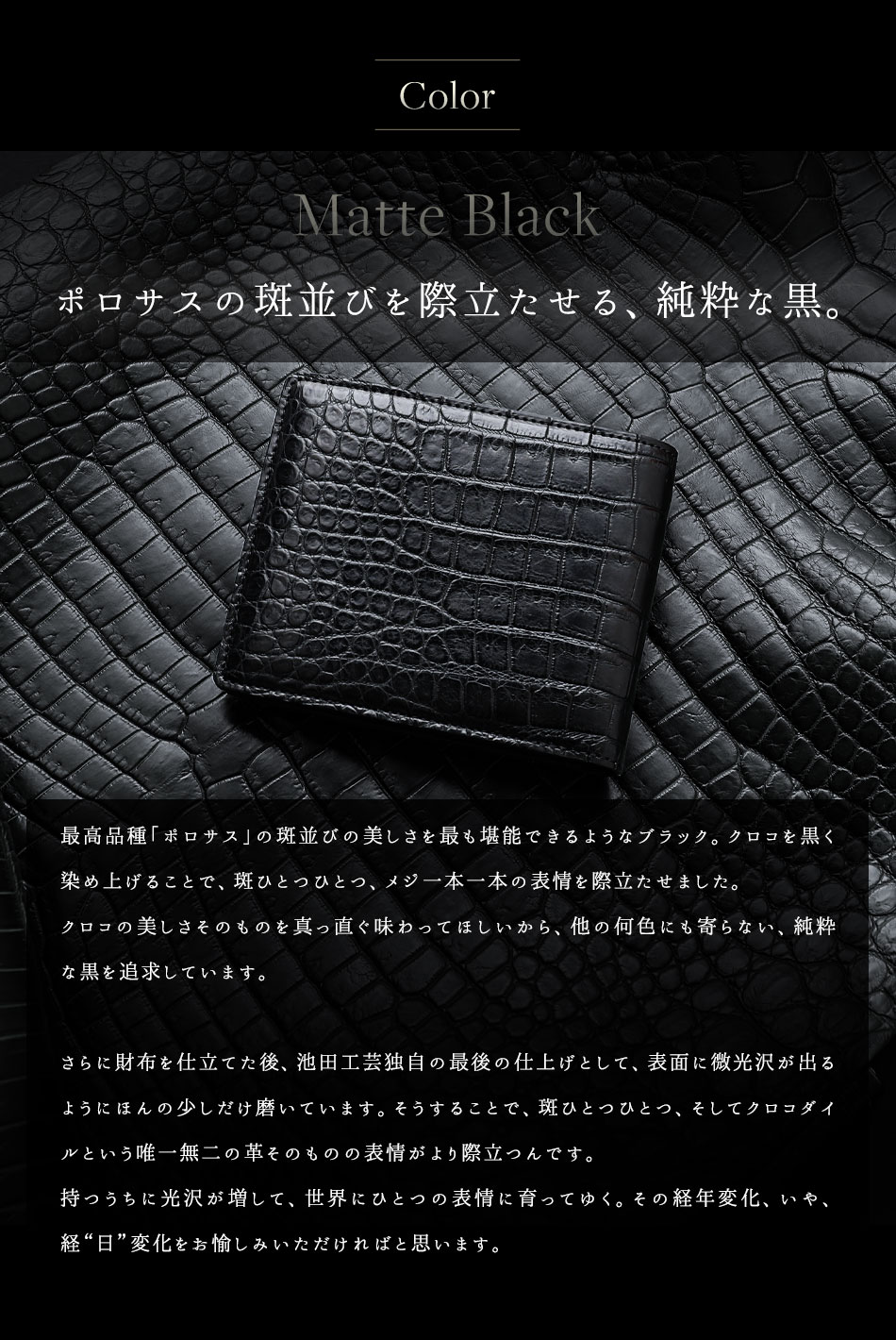 池田工芸】「黒」のマットクロコの“一番裁ち”。マットクロコダイル 2