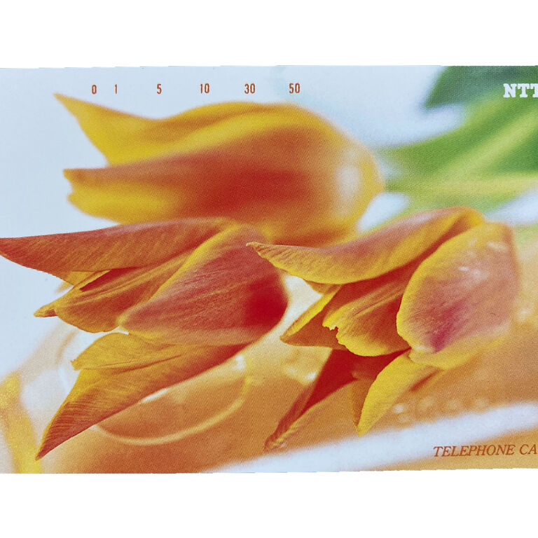 天保通宝 | 買取品目の種類 | 愛知県名古屋市緑区の買取なら買取専門