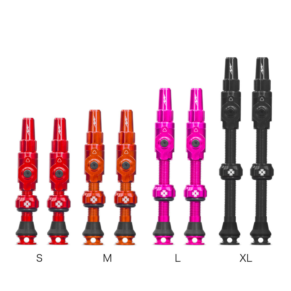 TUBELESSVALVES BIGBORE LITE仏式×仏式 コアレスバルブ - ダイアテック