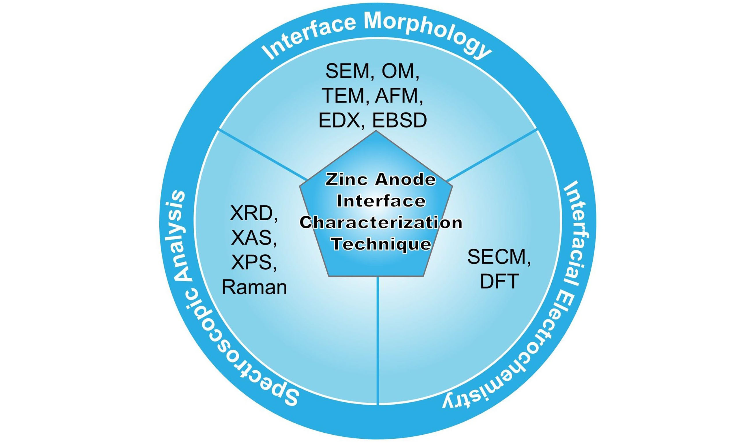 Deciphering the metallic zinc anode interface: multimodal