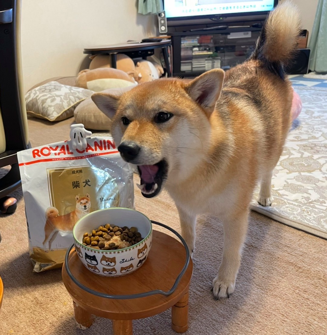 口コミ・レビュー｜ロイヤルカナン 柴犬 成犬用（ドッグフード）｜ 犬