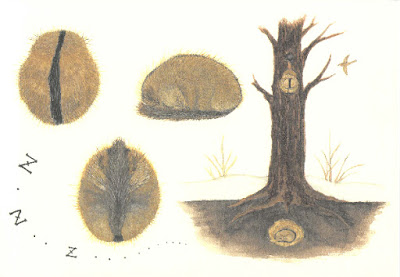 やまね工房グッズ | きょうりゅうや