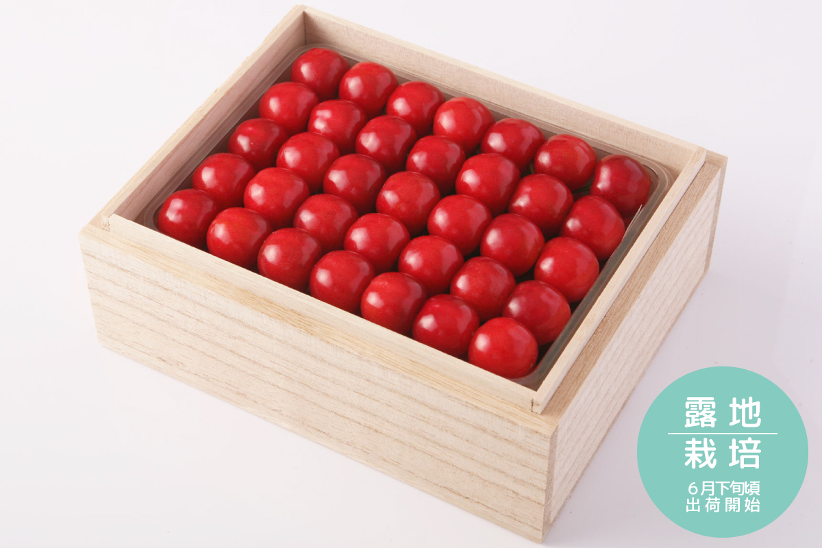 PS-5 厳選「手詰」紅秀峰 約600g | 王将果樹園