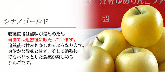 送料無料】青森県産りんご シナノゴールド 秀品 約10kg（28-40個入