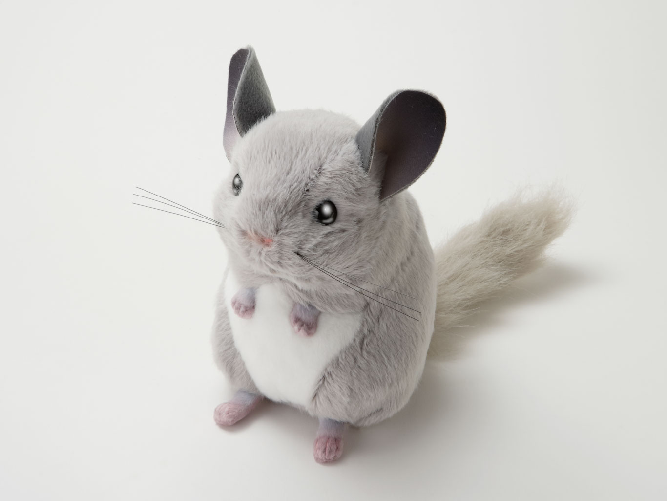 吉徳 チンチラのぬいぐるみ（グレー） | 生物園オンラインショップ