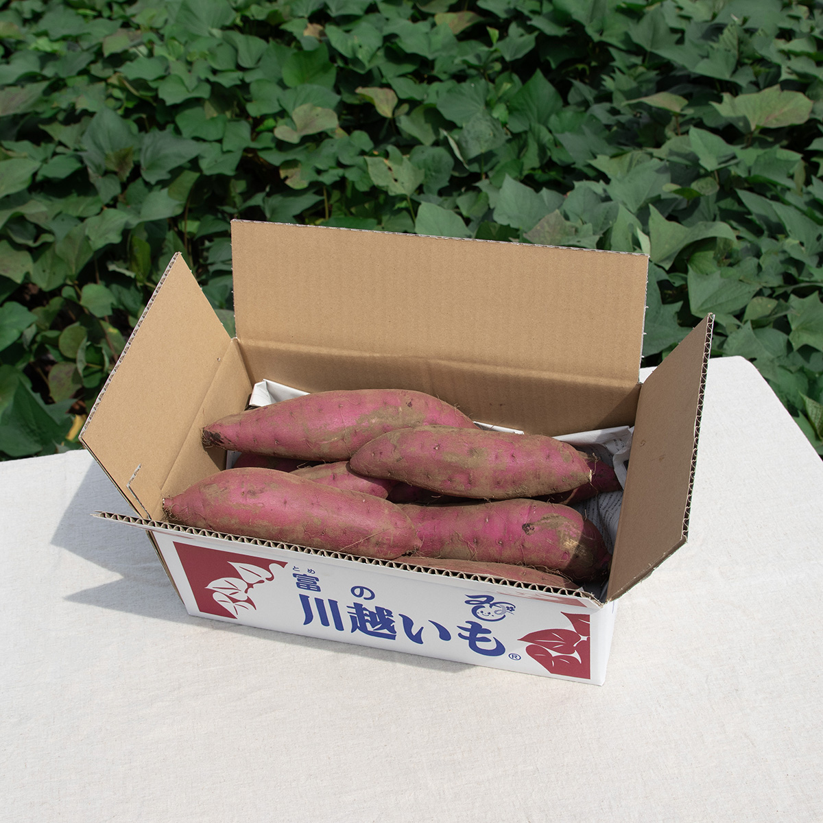 紅はるか 3kg L~S | むさし野自然農場