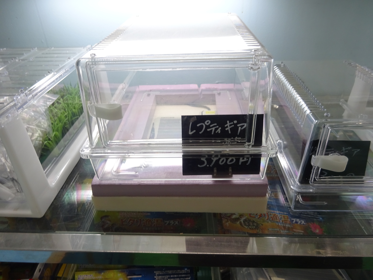 レプティギア365 | スコープ