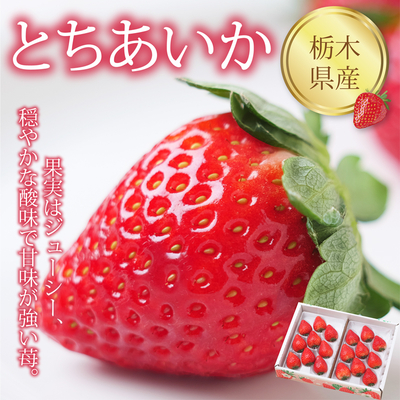 Strawberry（苺） | 青果店 サン・フルーツ
