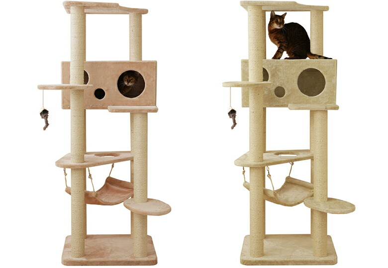 楽天市場】【Mauタワーアラモード】キャットタワー 人気 据え置き 大型