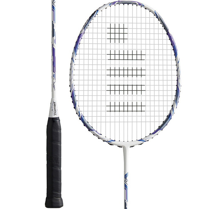 楽天市場】指定ガット代・張代無料! ゴーセン バドミントンラケット