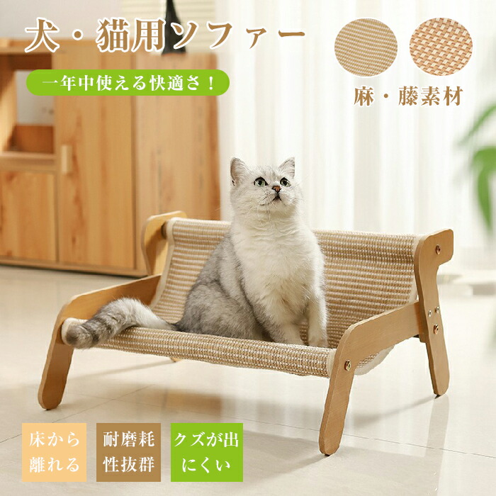 楽天市場】キャットチェア 猫 ベッド ハンモック ペットベッド 爪研ぎ