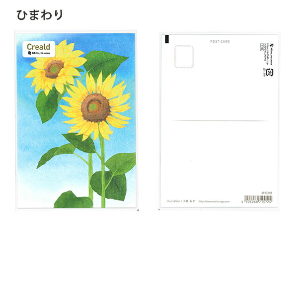楽天市場】NB エヌビー ポストカード 5枚セット 縦デザイン 郵便枠無し