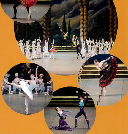 DVD+BOOK】 新国立劇場バレエ団オフィシャルDVDBOOKS ドン・キホーテ