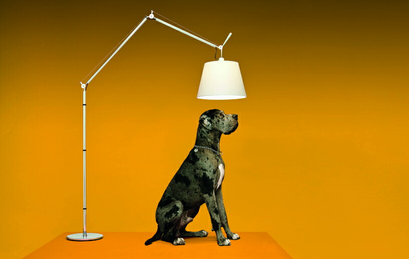 楽天市場】Artemide（アルテミデ）フロア照明 Tolomeo Mega Floor