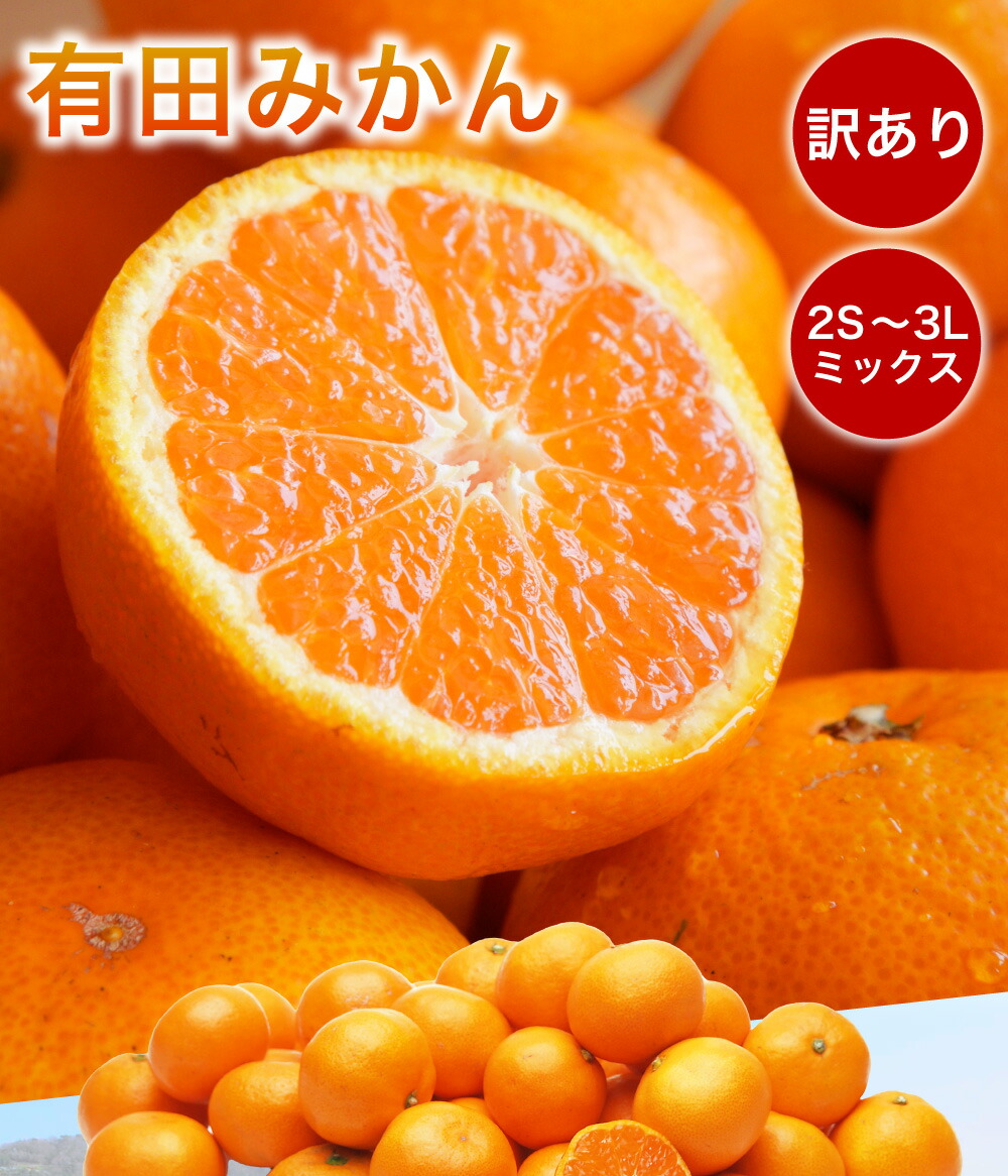 楽天市場】みかん 訳あり 5kg 10kg 早生 中生 晩生 小粒 小玉 送料無料