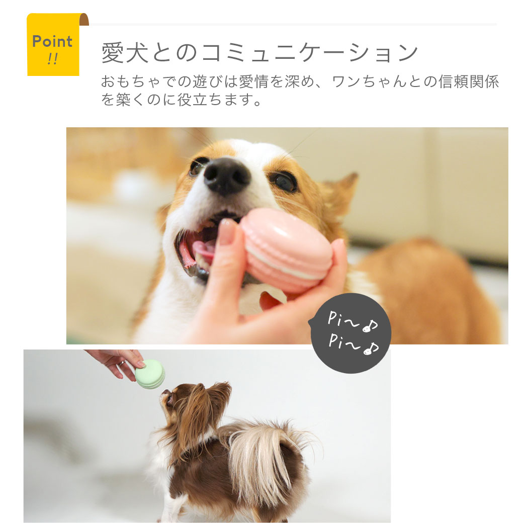 卸売】iDog ラテックスTOY マカロン アイドッグ アイドッグ|ペット 犬