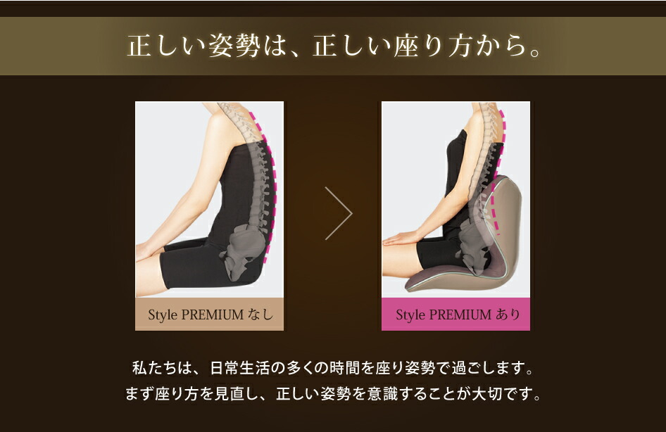 楽天市場】姿勢ケアシート スタイル プレミアム MTG Style PREMIUM