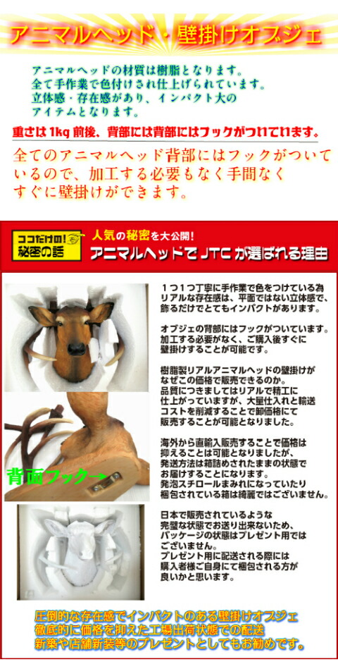 楽天市場】シルバーゴールド 壁掛け サイ オブジェ 剥製 インテリア