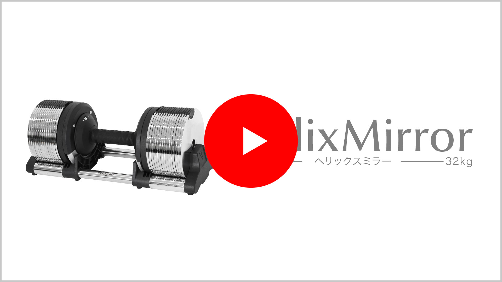 楽天市場】【レビュー投稿で2年保証】 ライシン ヘリックスミラー 1kg