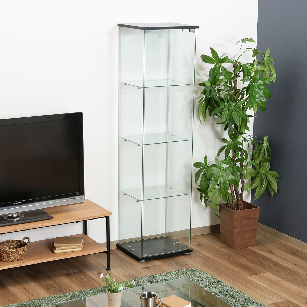 楽天市場】コレクションケース 4段 幅42.5cm 4面ガラス ショーケース