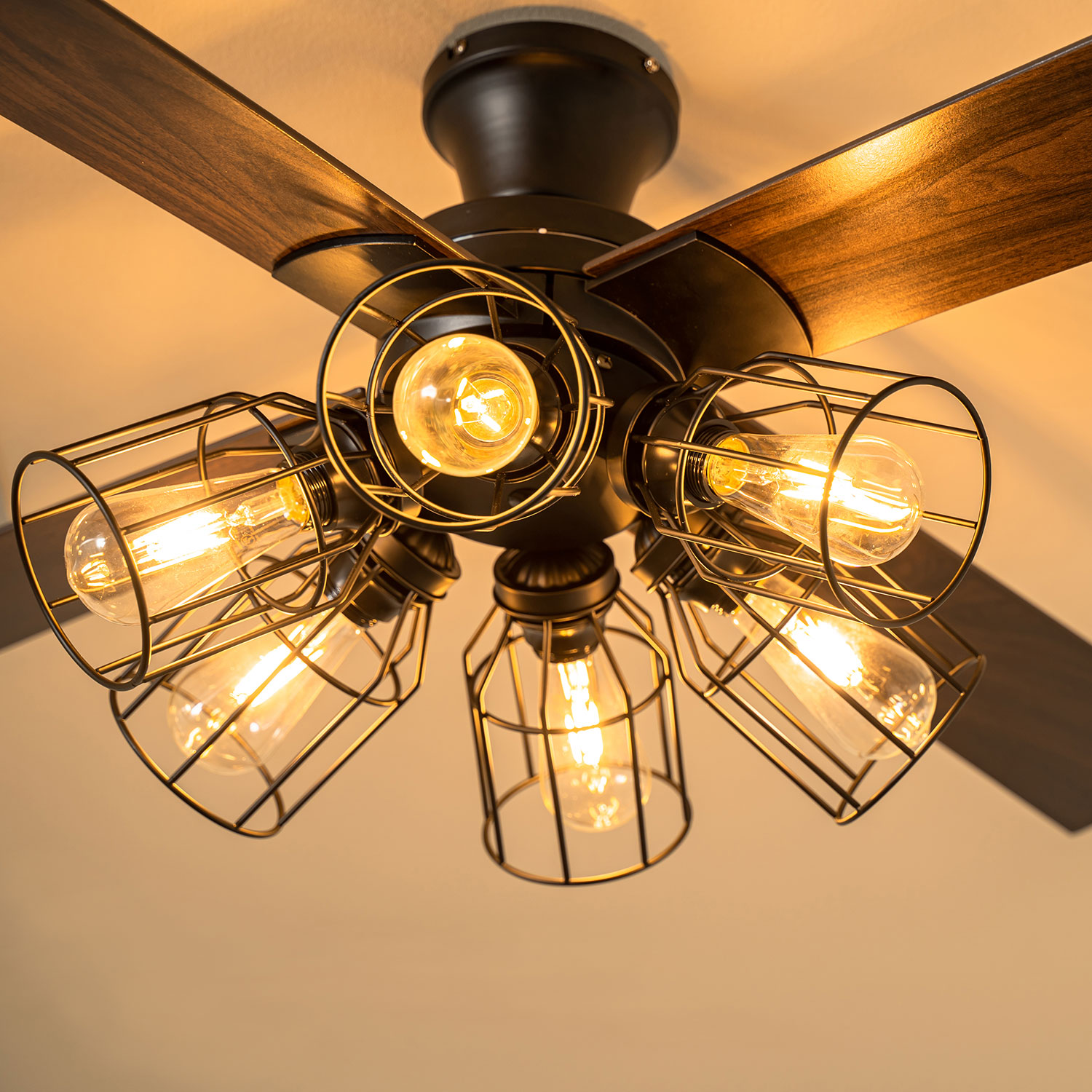 楽天市場】【最大1000円OFFクーポン発行中 2/24 9:59まで！】 【特典