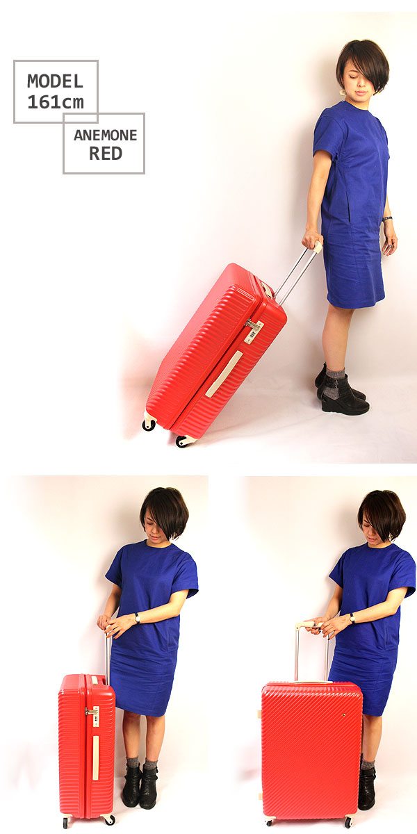 タイムセール15%OFF】HaNT マイン スーツケース 75L | TOZAI NANBOKUYA