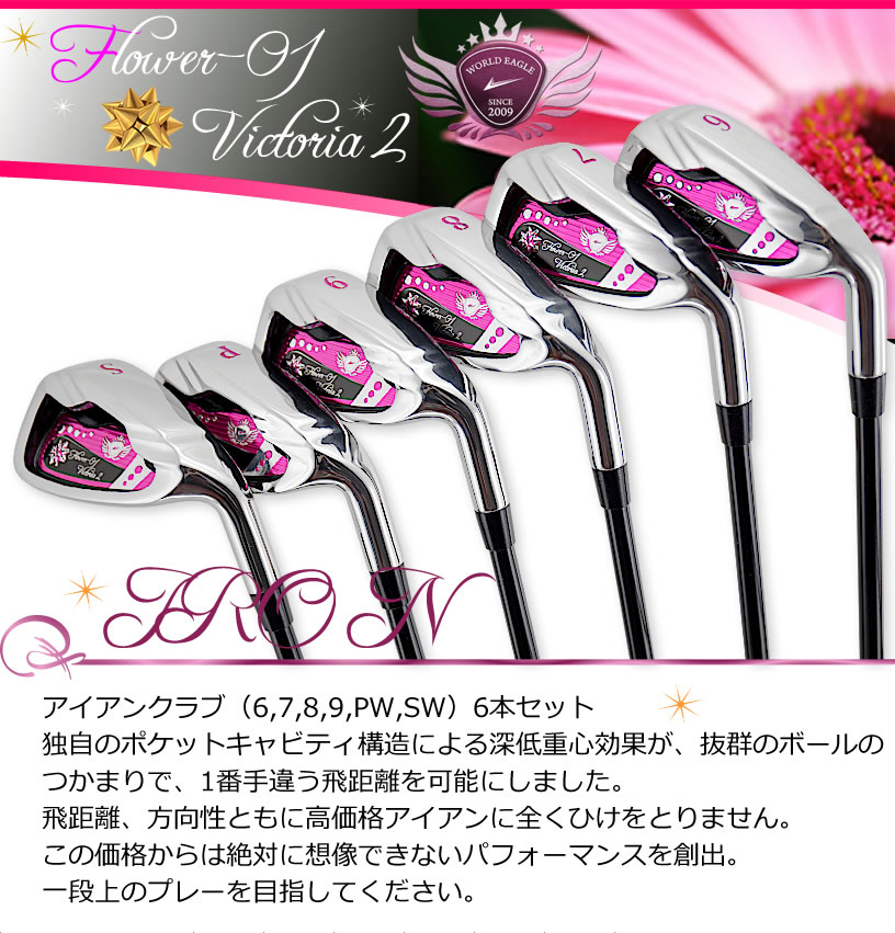 ワールドイーグル ゴルフ レディース アイアンセット ランキング上位の
