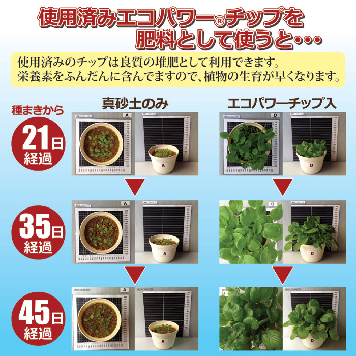 ユアサプライムス.com｜生ごみ処理機 エコクリーン 自然にカエル S