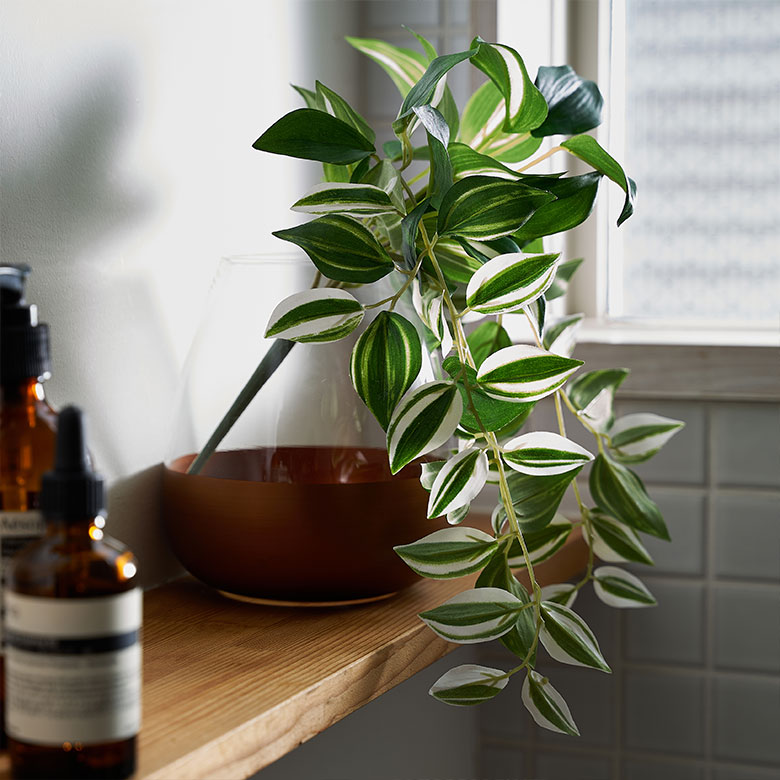 楽天市場】フェイクグリーン トラディスカンティア 観葉植物 造花