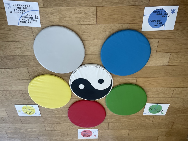 BU陰陽五行マット・セラピー（Eラーニング）五行マット付き｜田仲 真治