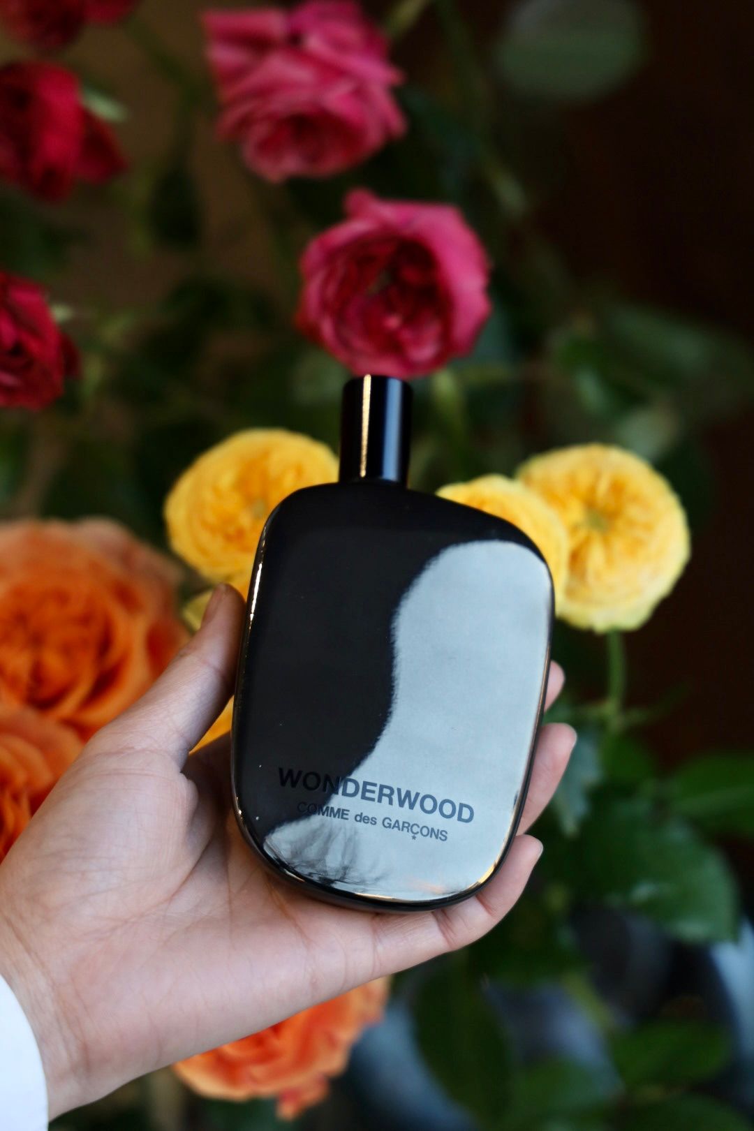 COMME des GARCONS PARFUMS - コムデギャルソン香水 CDG DOT Eau de