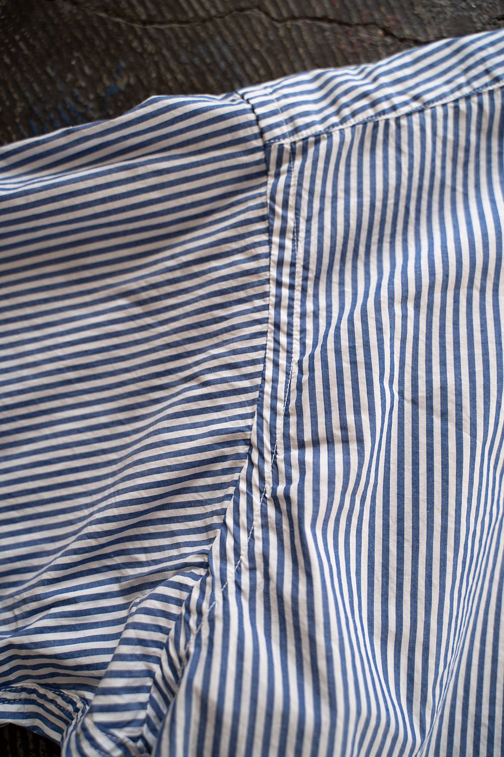 CIOTA - 【ラスト1点】スビンコットンタイプライターバンドカラー