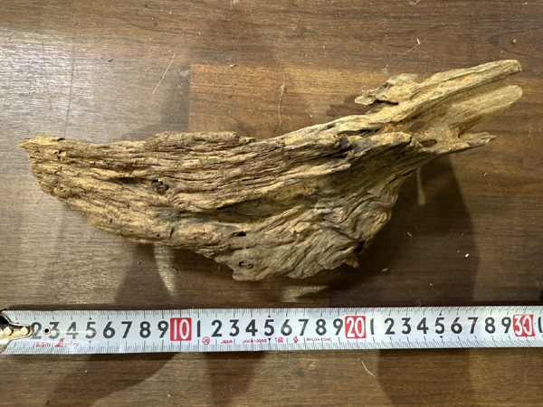 流木 アクアテイラーズ オンラインショップ