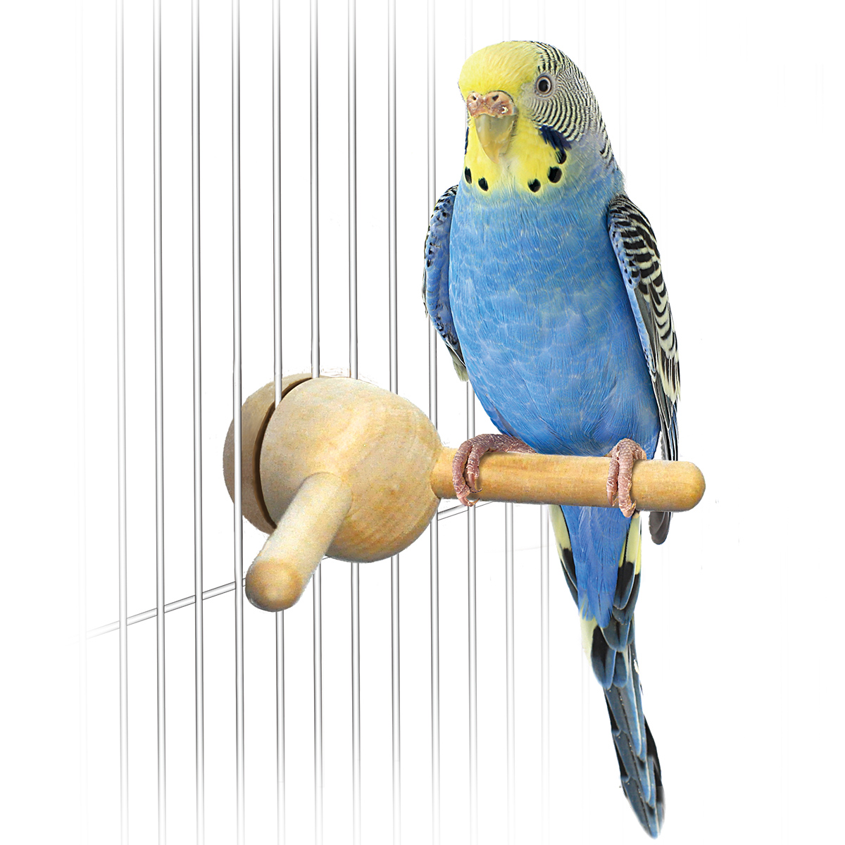 木製鳥用止まり木 多層構造 木製鳥用止まり木 多層構造 木製鳥用止まり