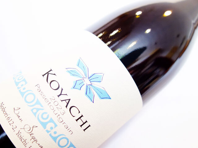 ワインセット＞ ランセッカ コヤチ パストゥグラン 2023 + ランセッカ