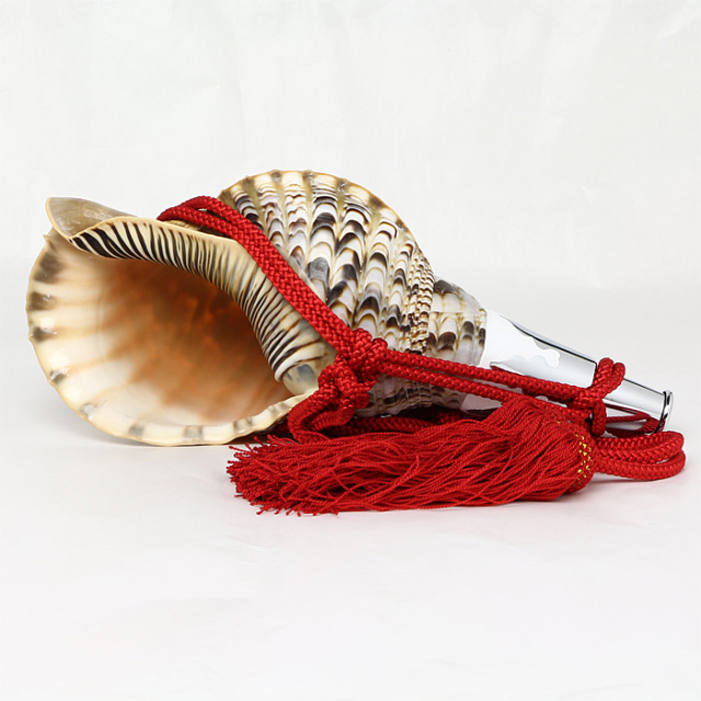 No.72 法螺貝（ほら貝） 12インチ | 高級神棚・神具の通販なら伊勢宮忠
