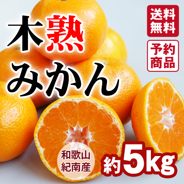 送料無料】木熟みかん（S～Mサイズ） 10kg 紀州梅干し・みかんのJA
