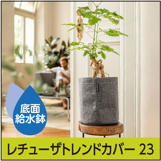 LECHUZAレチューザ』トレンドカバー23｜底面給水鉢