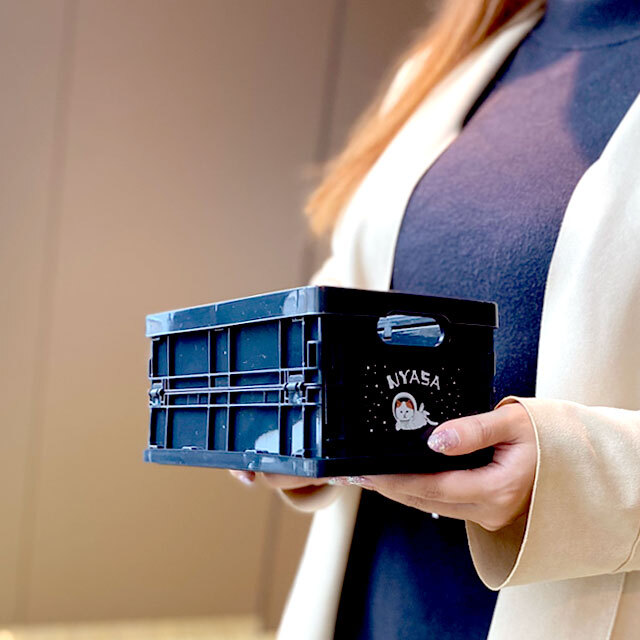 NYASAグッズ】NYASA（ニャサ）マークがかわいいミニコンテナ